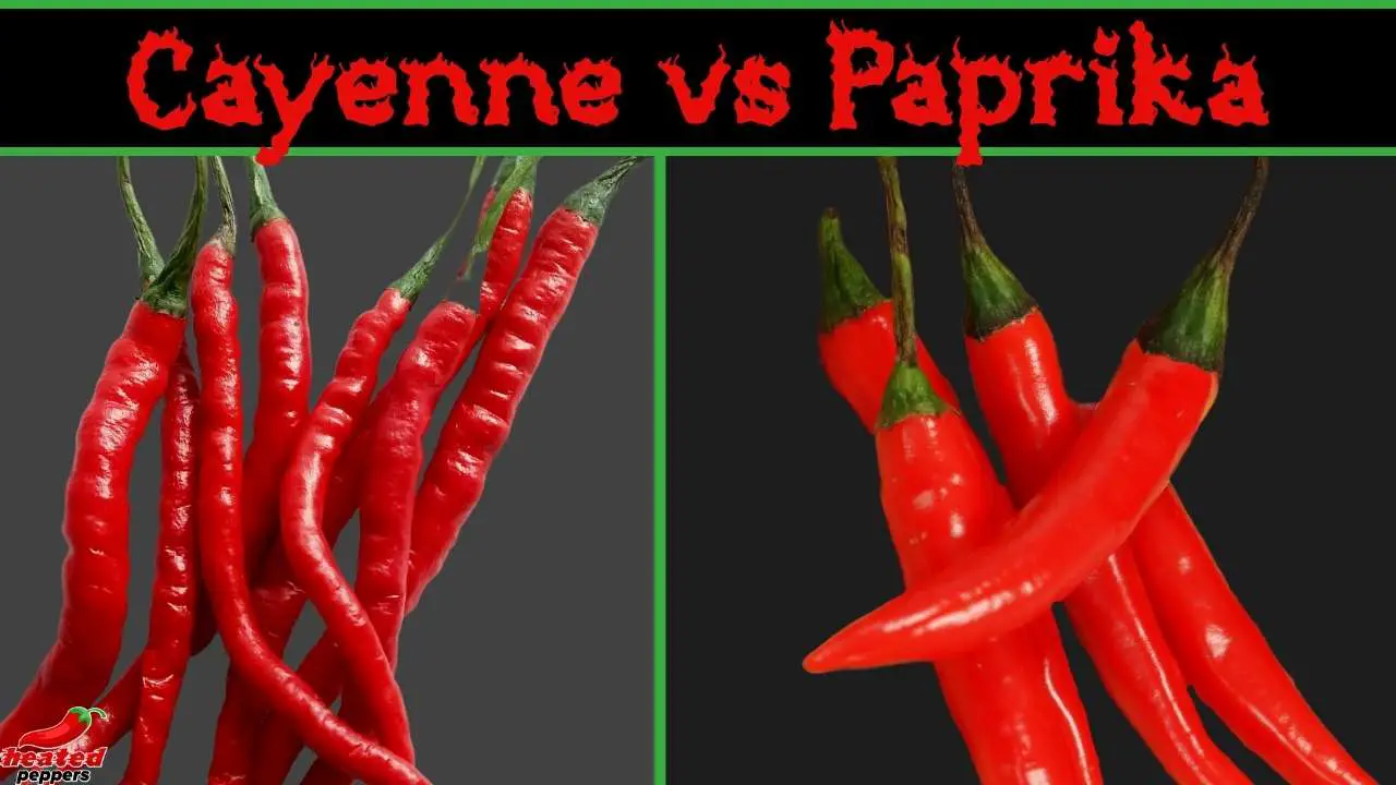 Are Paprika and Cayenne the Same?
