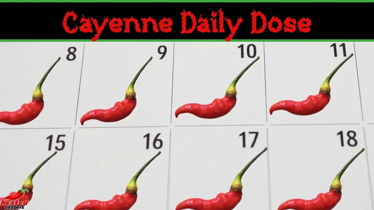 How Much Cayenne Pepper Per Day?