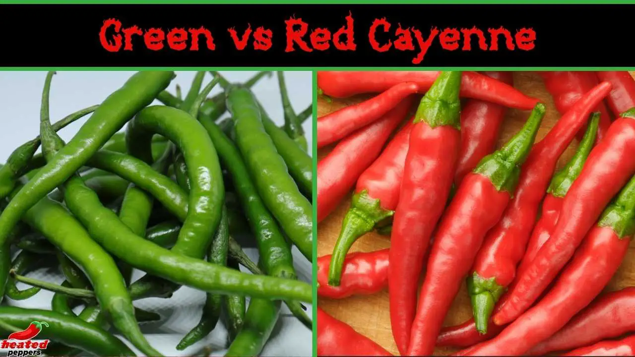 Green vs Red Cayenne Peppers | What’s the Difference?