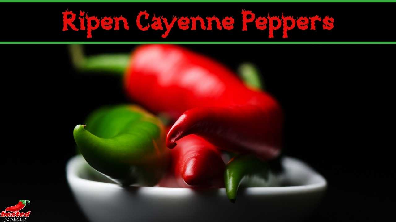 How to Ripen Green Cayenne Peppers Off the Vine