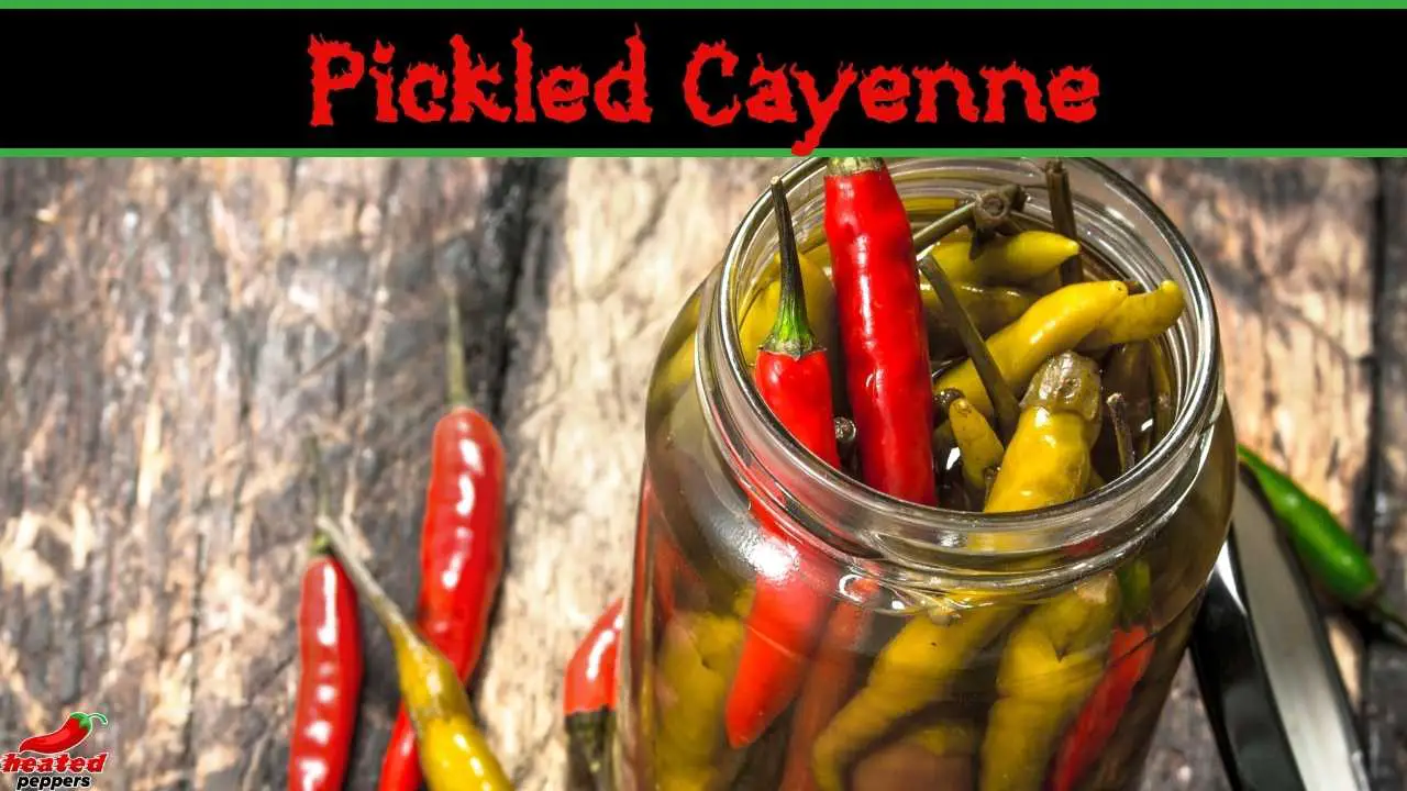 Pickled Cayenne Peppers | Hot Tips + Recipe
